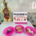 LINE_ALBUM_31265_๒๔๐๑๑๒_4